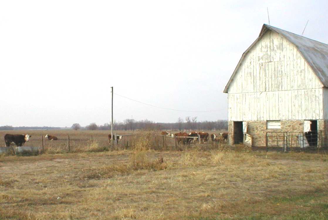 Dormant Garden #1
