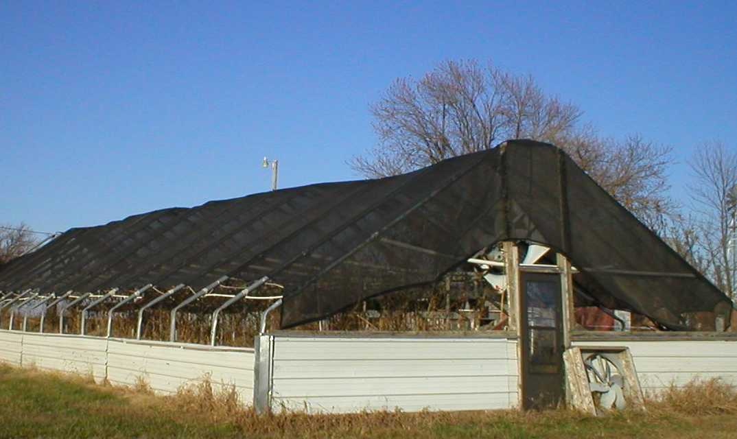 Greenhouse